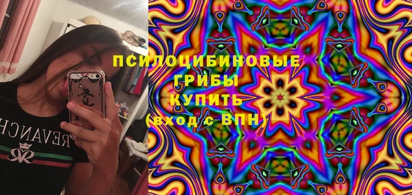 молекула духа Армянск